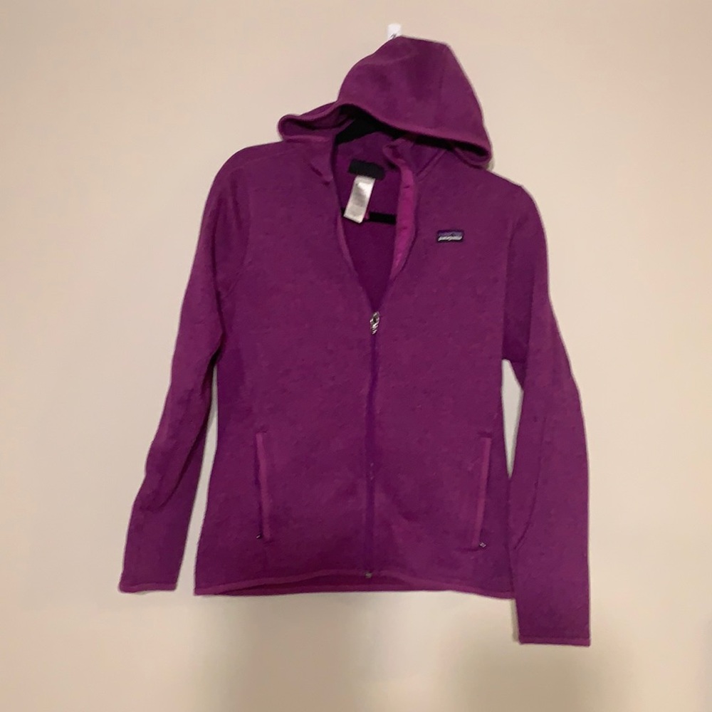 Patagonia full zip hooded sweater